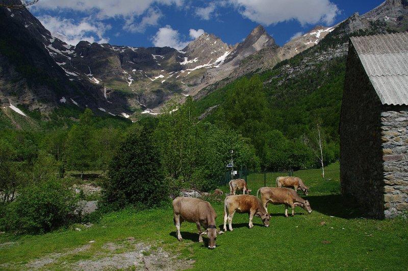 Bungalows Pena Montanesa Aínsa Exteriör bild